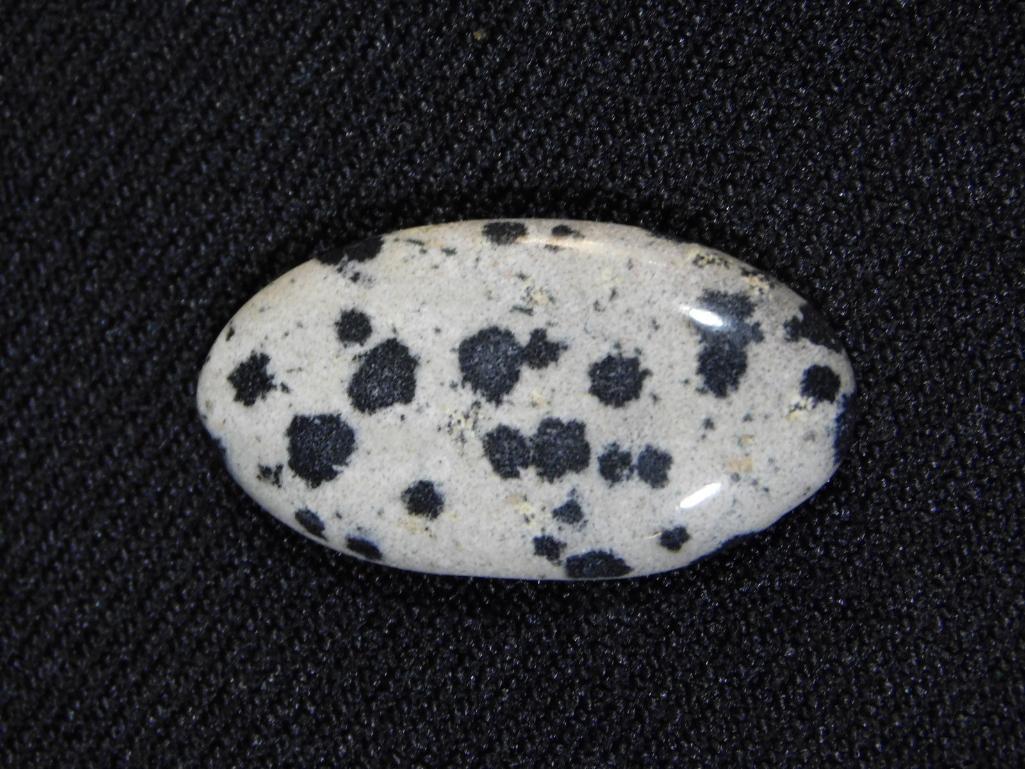 DALMATION JASPER CABOCHONROCK STONE LAPIDARY SPECIMEN: DALMATION JASPER CABOCHONROCK STONE LAPIDARY SPECIMEN