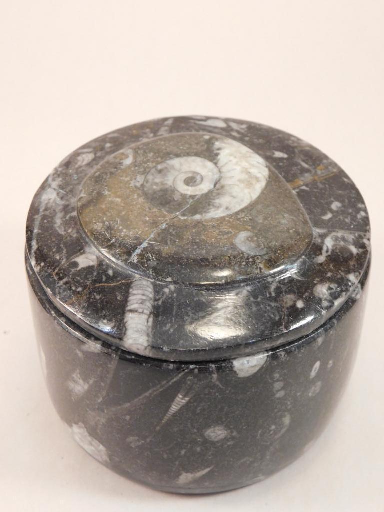 ORTHOCERAS TRINKET BOX: Thank you for attending HATMAN AUCTIONS! Please see photos for measurements and descriptions. If you purchase lots of heavy items, we can hold them for you until you can pick them up. *We are an aucti