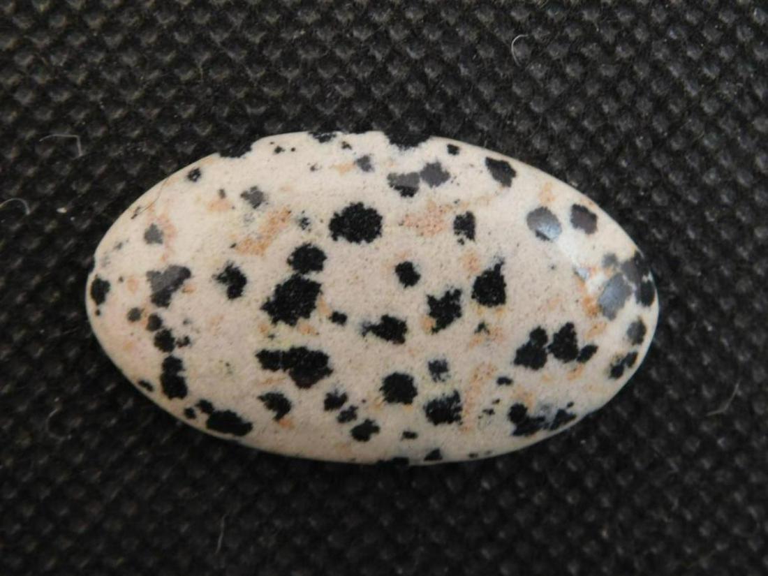 DALMATION JASPER CABOCHON ROCK STONE LAPIDARAY SPECIMEN: DALMATION JASPER CABOCHON ROCK STONE LAPIDARAY SPECIMEN