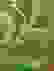 item-100918878=3