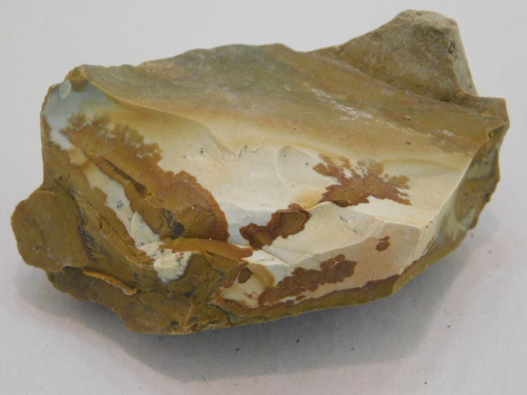 OWYHEE JASPER ROCK STONE LAPIDARY SPECIMEN: OWYHEE JASPER ROCK STONE LAPIDARY SPECIMEN