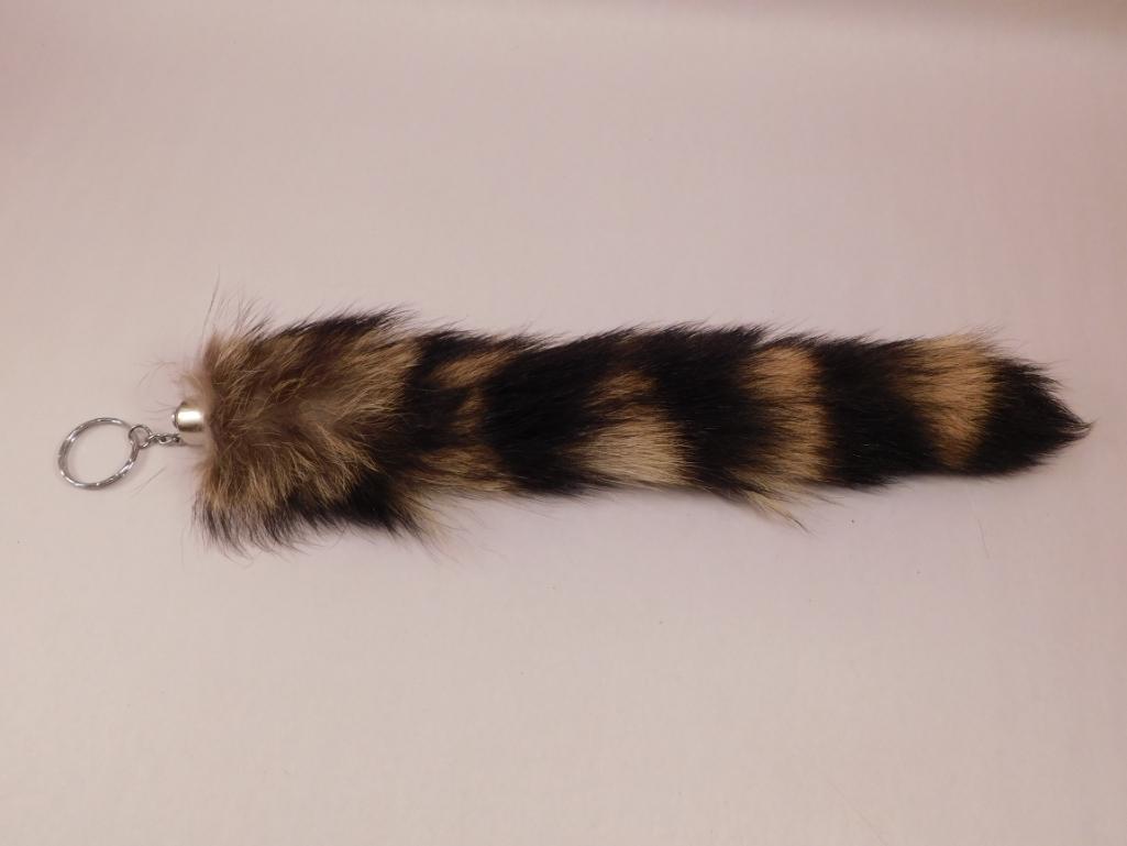 RACCOON TAXIDERMY COON TAIL ROCK STONE LAPIDARY: RACCOON TAXIDERMY COON TAIL ROCK STONE LAPIDARY SPECIMEN