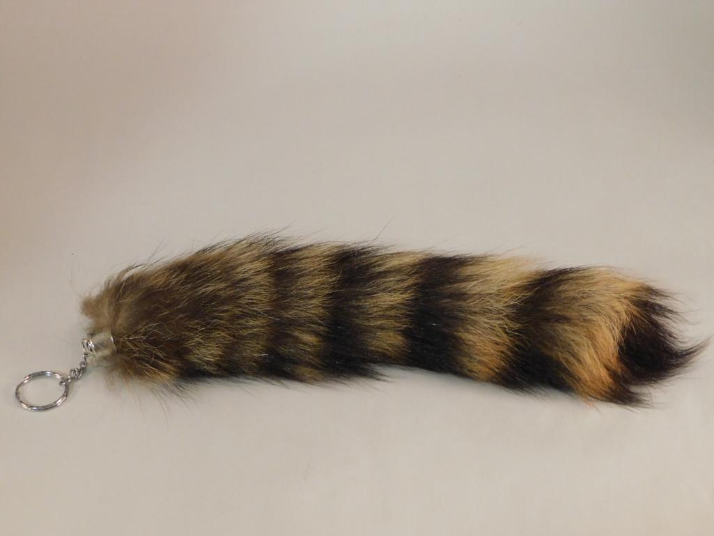 RACCOON TAXIDERMY COON TAIL ROCK STONE LAPIDARY: RACCOON TAXIDERMY COON TAIL ROCK STONE LAPIDARY SPECIMEN
