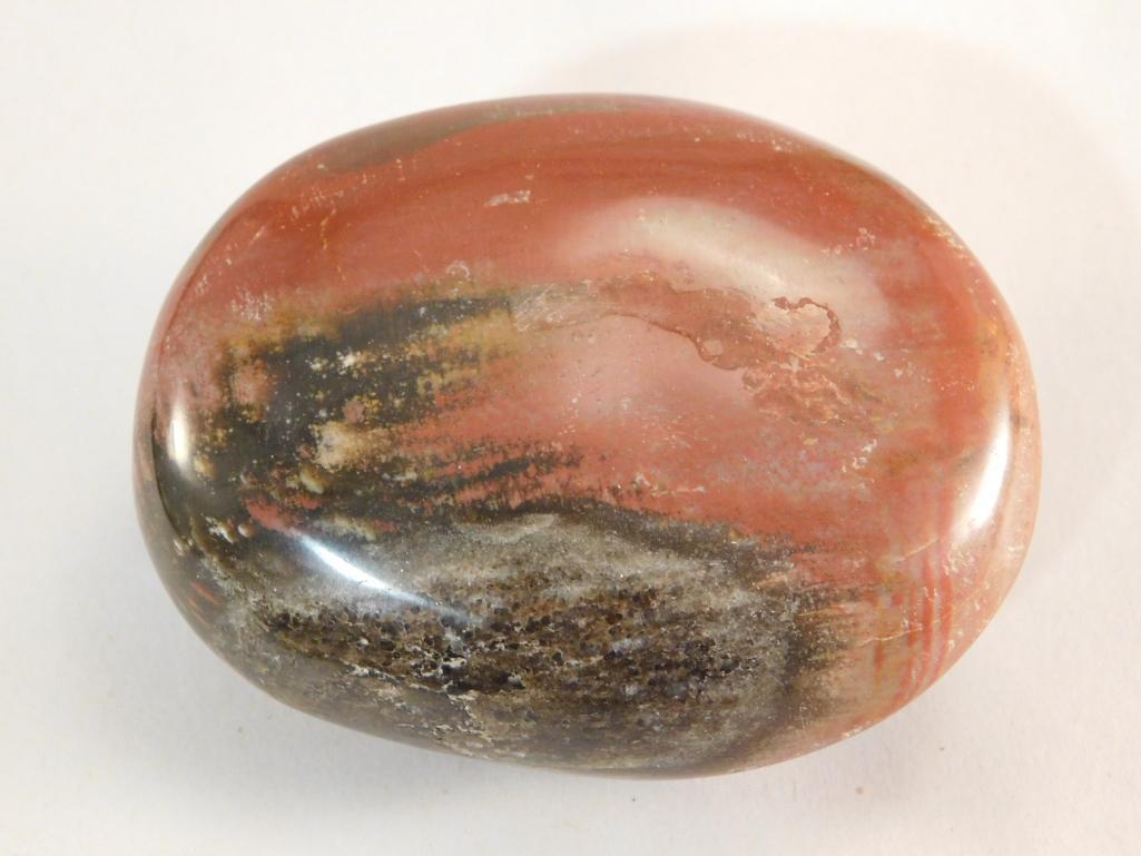 PETRIFIED WOOD POLISHED ROCK STONE LAPIDARAY SPECIMEN (1 of 2)