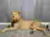 item-106488984=6