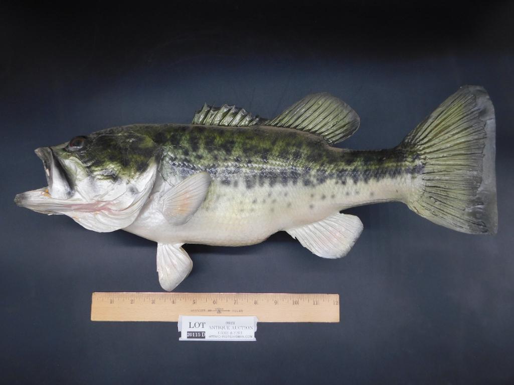 BASS MOUNT TAXIDERMY (1 of 4)
