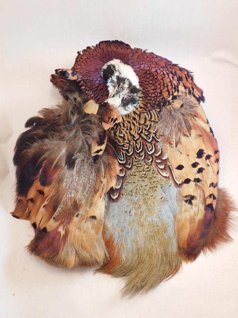 RINGNECK PHEASANT FLAT MOUNT TAXIDERMY (1 of 4)