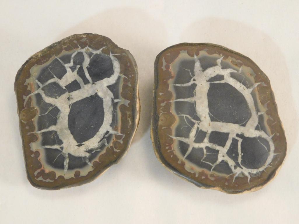 SEPTARIAN ROCK STONE LAPIDARY SPECIMEN (1 of 2)