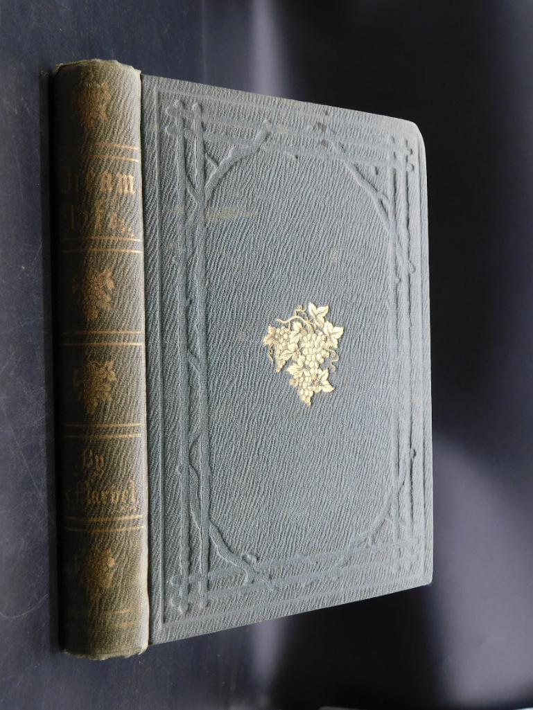 DREAM LIFE A FABLE OF THE SEASONS BOOK BY K MARVEL 1325 (1 of 4)