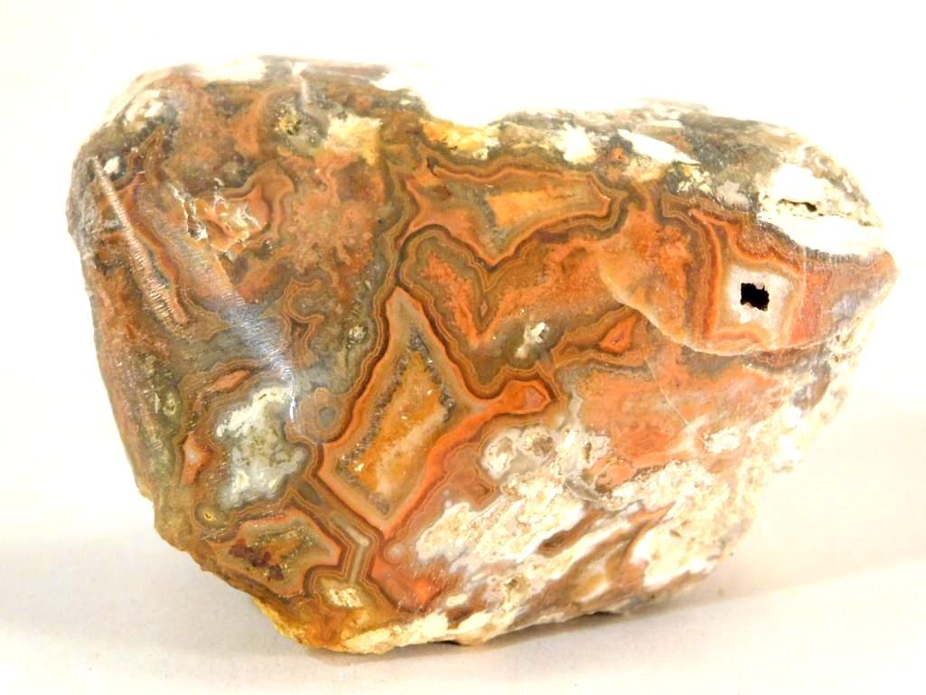 MONTANA DRY HEAD AGATE ROCK STONE LAPIDARY SPECIMEN (1 of 5)