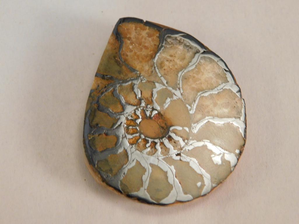 AMMONITE ROCK STONE LAPIDARY SPECIMEN (1 of 2)
