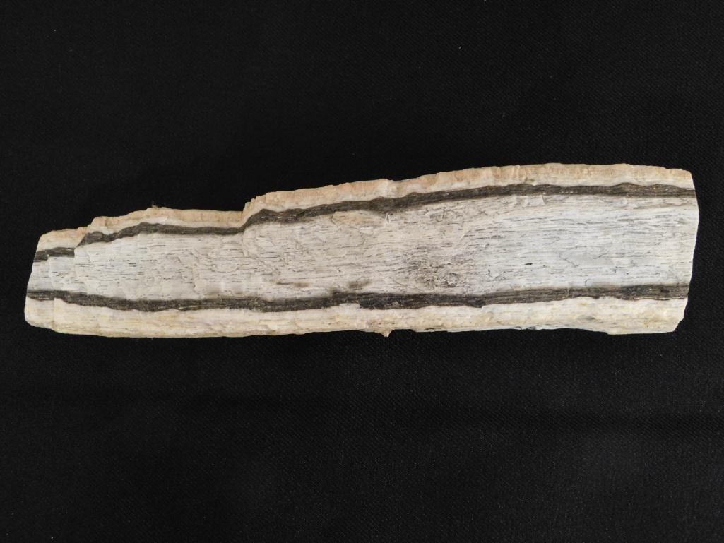 PETRIFIED WOOD ROCK STONE LAPIDARY SPECIMEN (1 of 6)