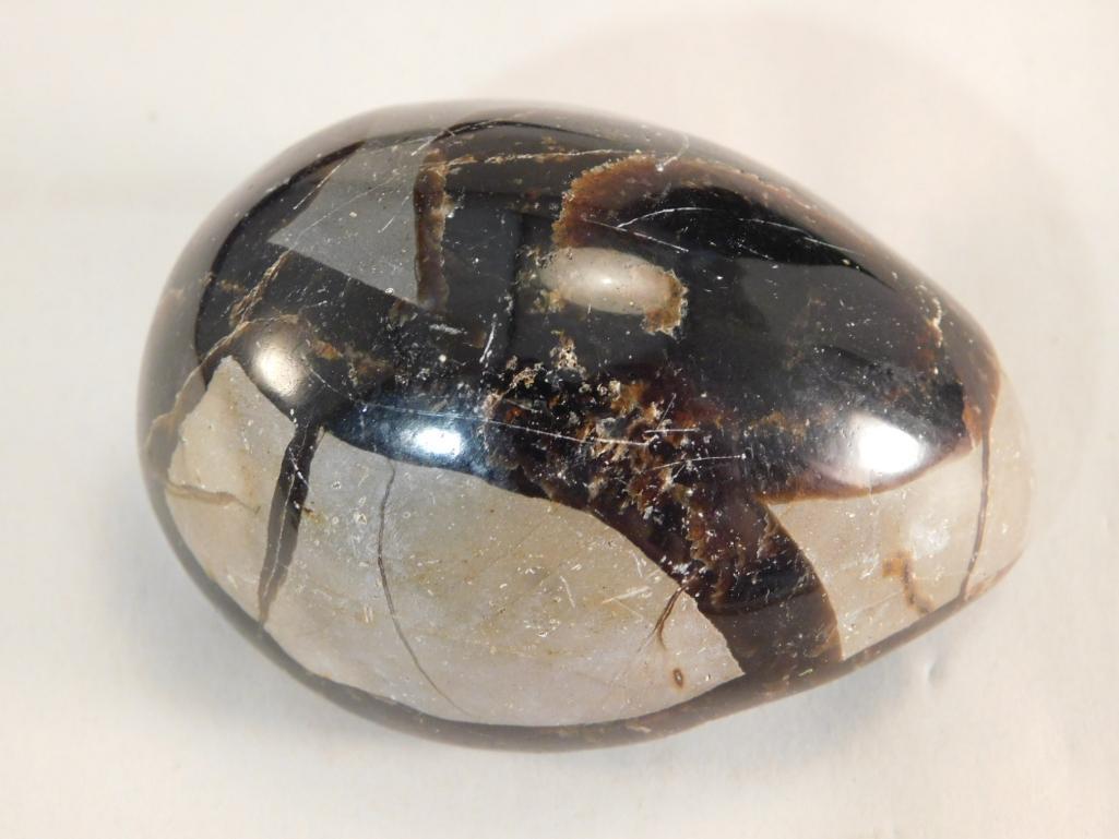 SEPTARIAN DRAGON EGG ROCK STONE LAPIDARY SPECIMEN (1 of 2)