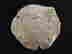 item-108793599=2