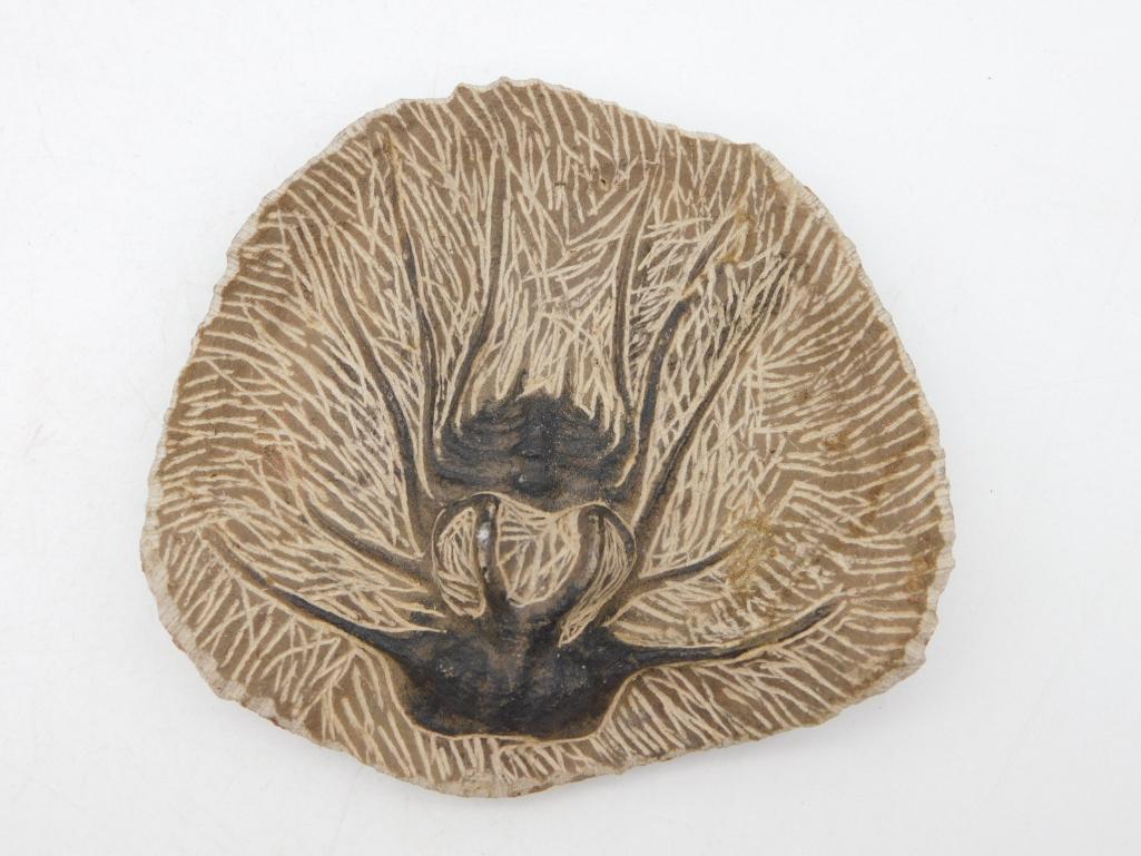 DICRANURUS HAMATUS ELEGANTUS TRILOBITE FOSSIL: DICRANURUS HAMATUS ELEGANTUS TRILOBITE FOSSIL *** Thank you for attending HATMAN AUCTIONS! Yes, we ship all items that are not oversized. Please see photos for measurements and description. SPECIAL NO