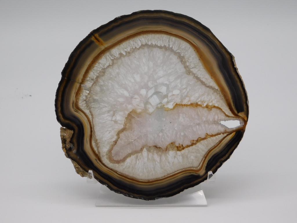 AGATE SLICE ROCK STONE LAPIDARY SPECIMEN: Thank you for attending HATMAN AUCTIONS! Yes, we ship all items that are not oversized. Please see photos for measurements and description. SPECIAL NOTICE: Many items are PICK UP ONLY by APPOINTMENT O