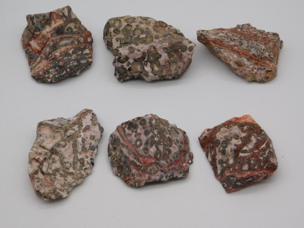 LEOPARD SKIN JASPER ROCK STONE LAPIDARY SPECIMEN: Thank you for attending HATMAN AUCTIONS! Yes, we ship all items that are not oversized. Please see photos for measurements and description. SPECIAL NOTICE: Many items are PICK UP ONLY by APPOINTMENT O