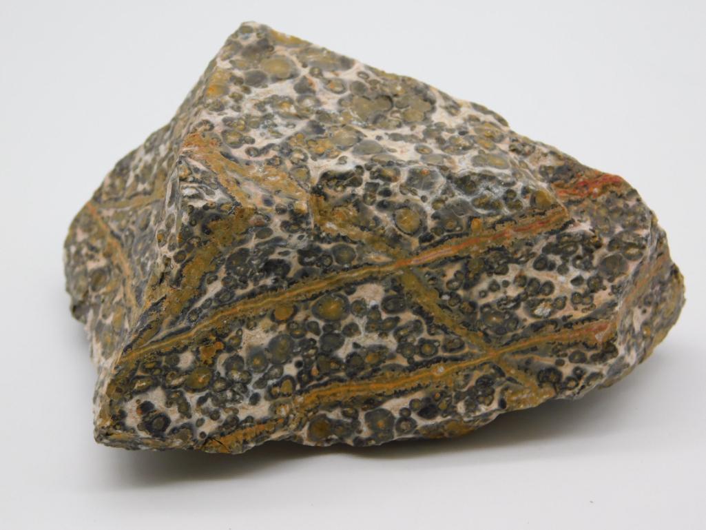 LEOPARD SKIN JASPER ROCK STONE LAPIDARY SPECIMEN: Thank you for attending HATMAN AUCTIONS! Yes, we ship all items that are not oversized. Please see photos for measurements and description. SPECIAL NOTICE: Many items are PICK UP ONLY by APPOINTMENT O