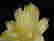 item-108801472=2