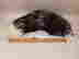 item-108801569=2