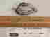 item-108801909=2