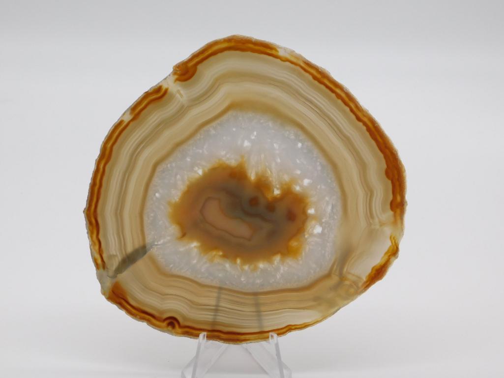 AGATE SLICE ROCK STONE LAPIDARY SPECIMEN (1 of 2)