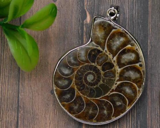 AMMONITE PENDANT GENUINE FOSSIL ROCK STONE LAPIDARY SPECIMEN (1 of 3)
