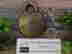 item-136931409=2