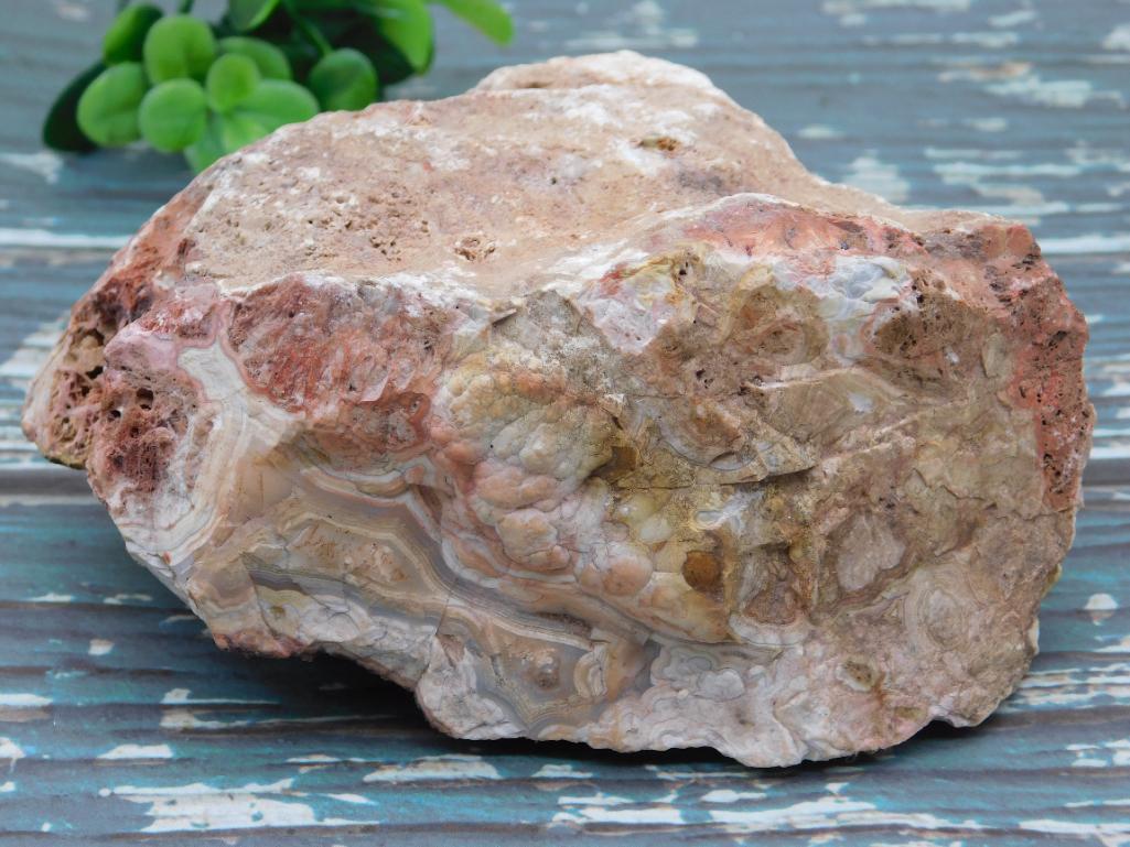 MEXICAN LACE ROCK STONE LAPIDARY SPECIMEN: MEXICAN LACE ROCK STONE LAPIDARY SPECIMEN