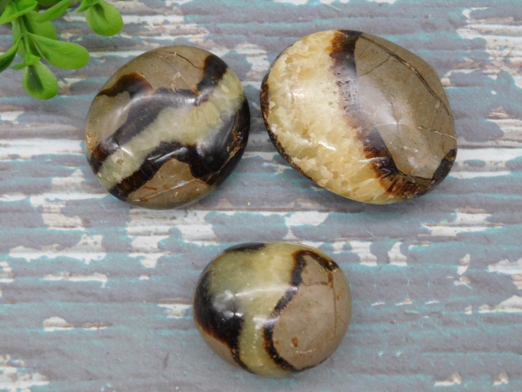 SEPTARIAN ROCK STONE LAPIDARY SPECIMEN (1 of 2)