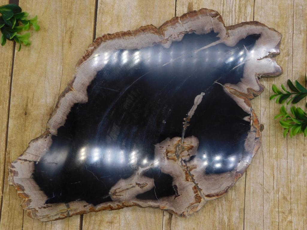 PETRIFIED WOOD SLAB ROCK STONE LAPIDARY SPECIMEN (1 of 2)