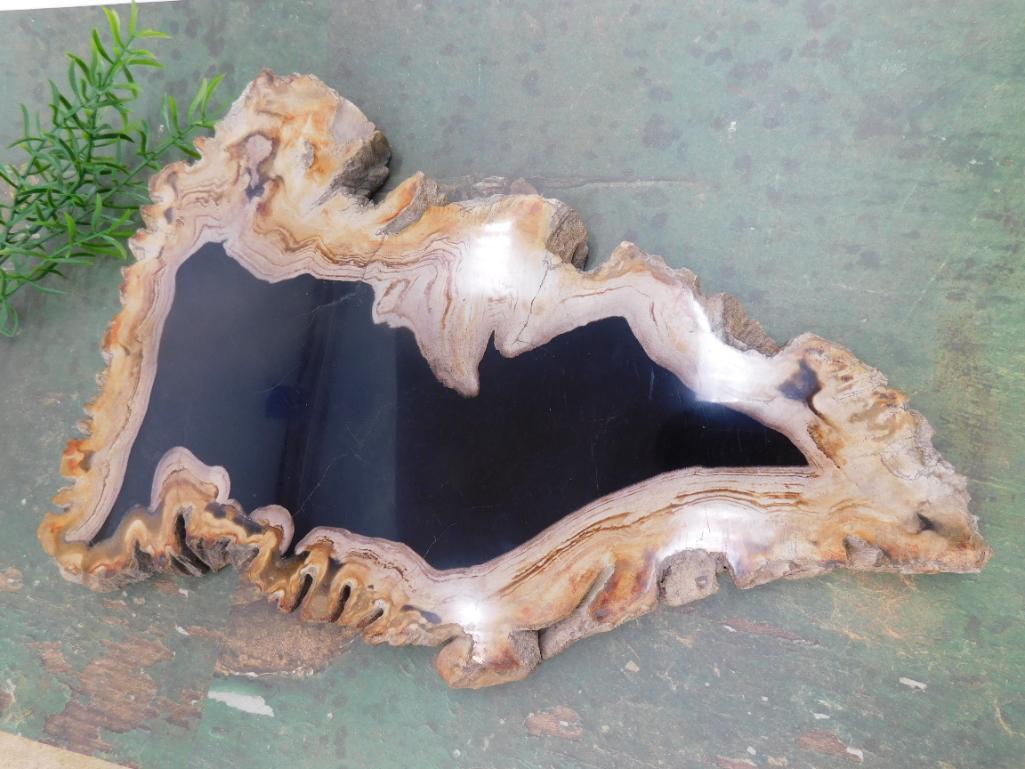 PETRIFIED WOOD SLAB ROCK STONE LAPIDARY SPECIMEN (1 of 2)