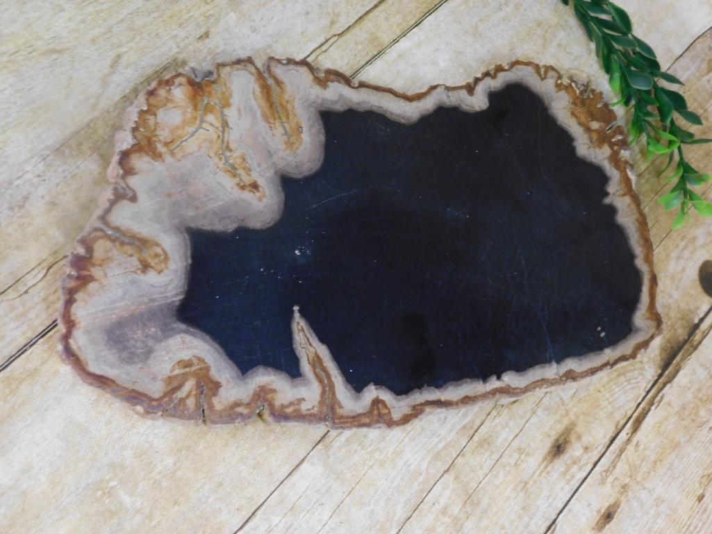 PETRIFIED WOOD SLAB ROCK STONE LAPIDARY SPECIMEN (1 of 2)