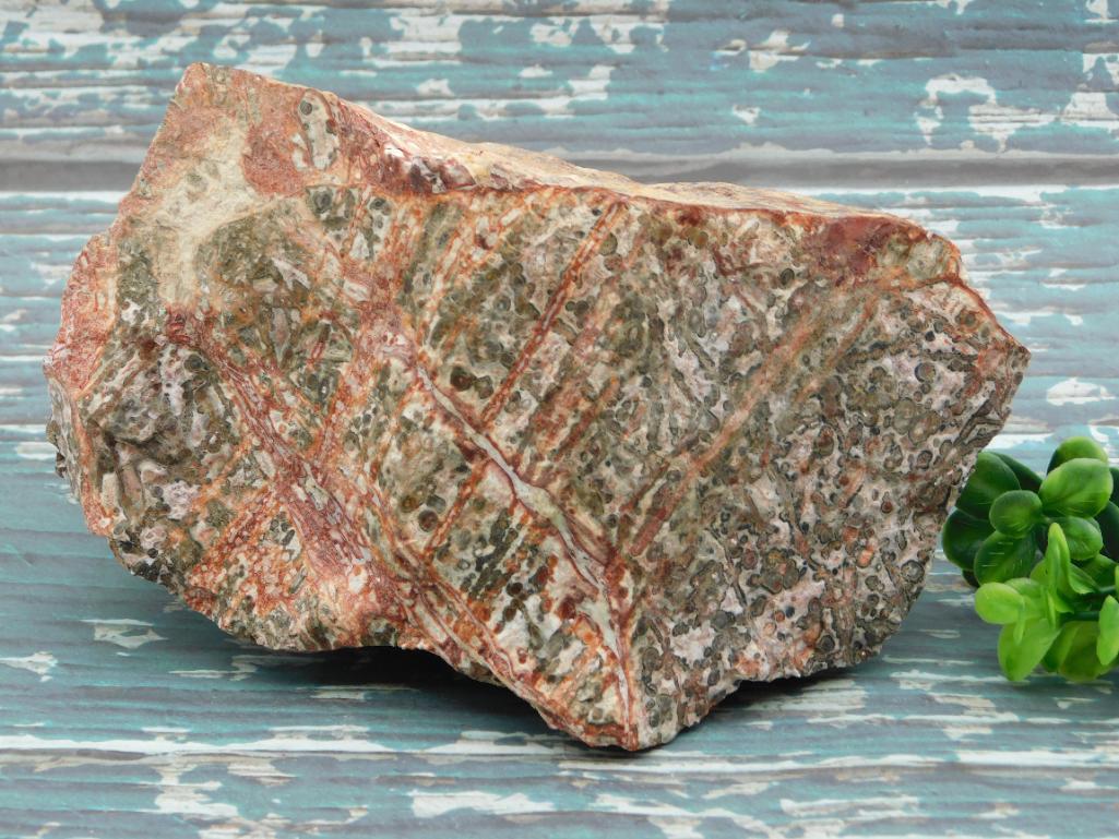 3 POUND LEOPARD SKIN JASPER ROCK STONE LAPIDARY SPECIMEN (1 of 3)