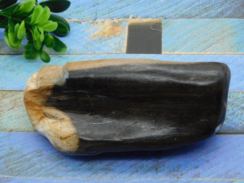 PETRIFIED WOOD ROCK STONE LAPIDARY SPECIMEN (1 of 2)