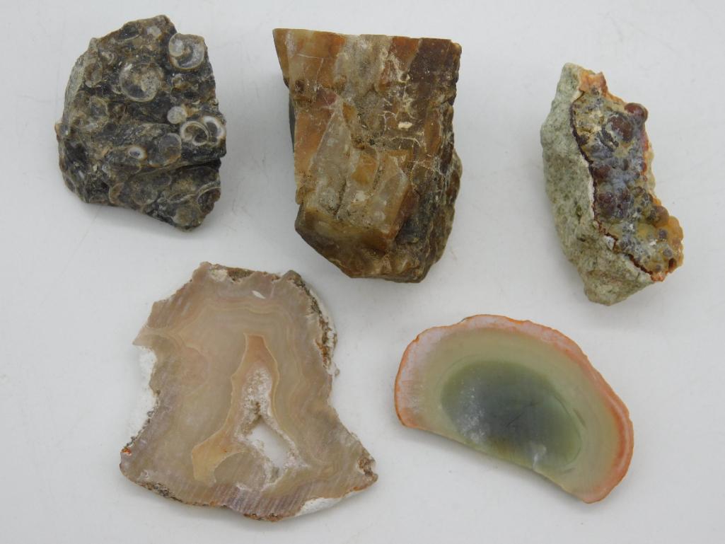 MIXED ROCK STONE LAPIDARY SPECIMEN (1 of 2)