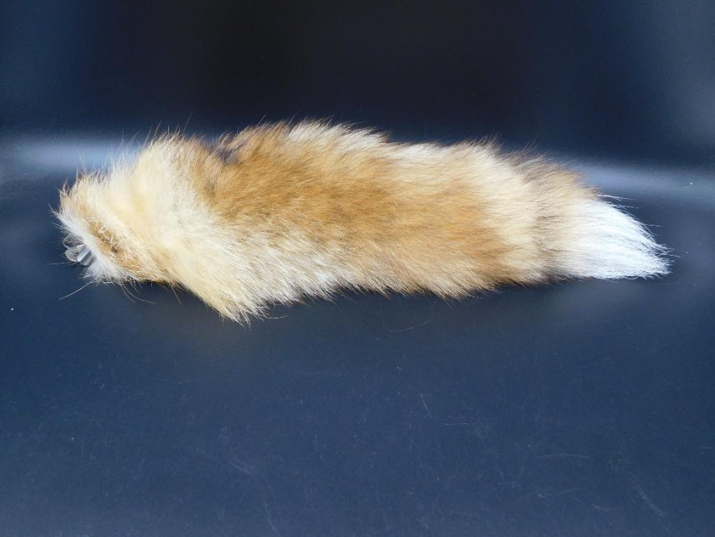 FOX TAIL TAXIDERMY VINTAGE ANTIQUE (1 of 2)