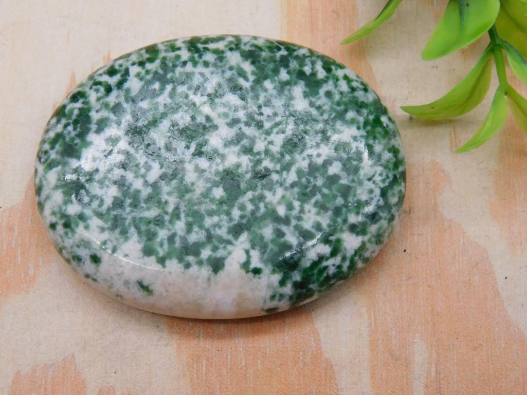 TREE AGATE WORRY STONE ROCK STONE LAPIDARY SPECIMEN (1 of 2)