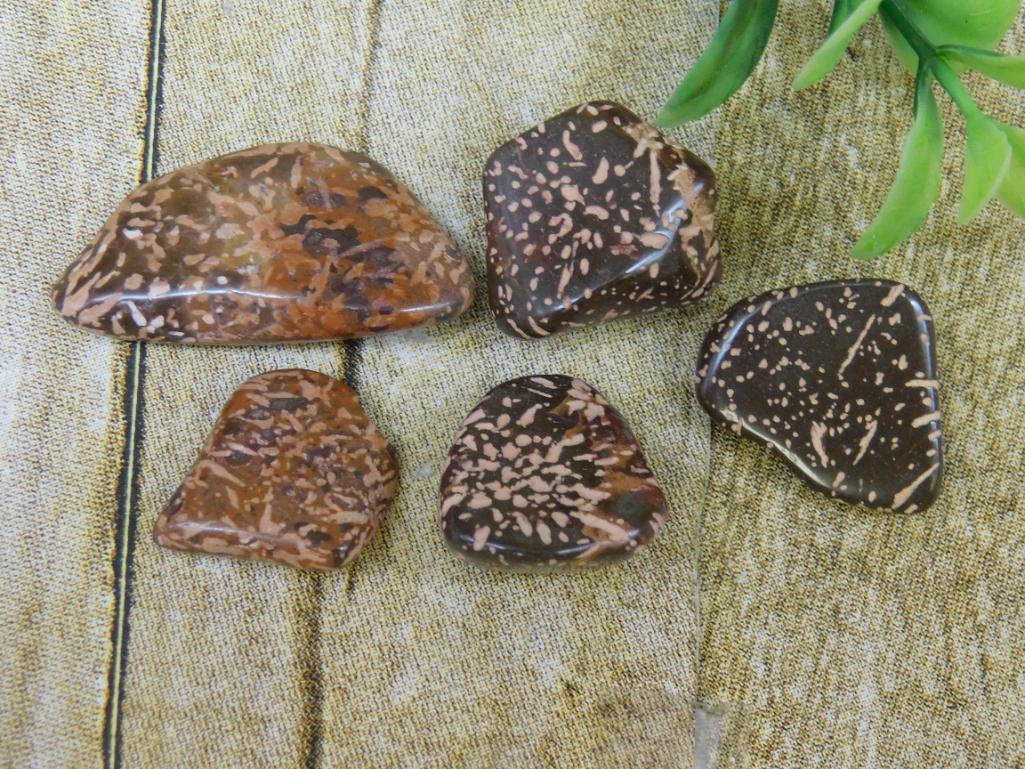 STARBURST JASPER ROCK STONE LAPIDARY SPECIMEN: STARBURST JASPER ROCK STONE LAPIDARY SPECIMEN