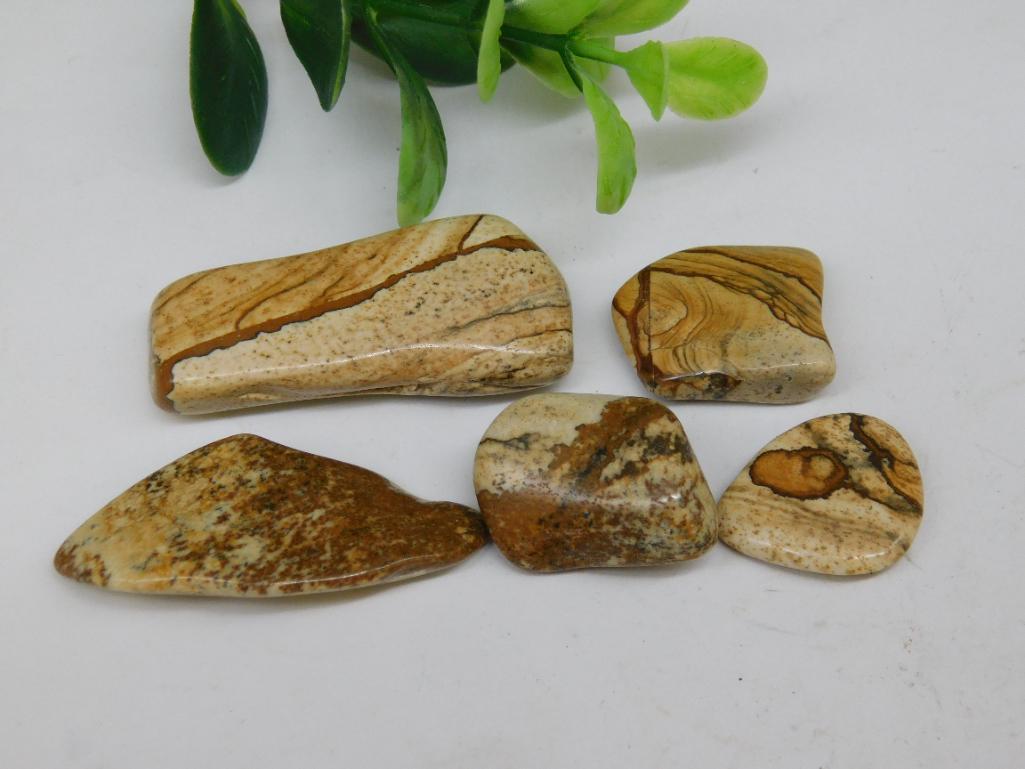 PICTURE JASPER ROCK STONE LAPIDARY SPECIMEN: PICTURE JASPER ROCK STONE LAPIDARY SPECIMEN