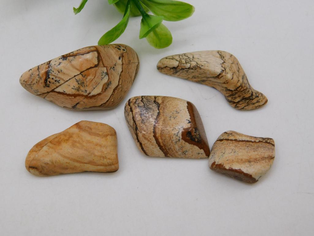 PICTURE JASPER ROCK STONE LAPIDARY SPECIMEN: PICTURE JASPER ROCK STONE LAPIDARY SPECIMEN