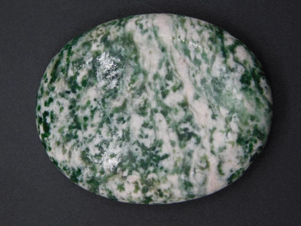 TREE AGATE PALM STONE ROCK STONE LAPIDARY SPECIMEN (1 of 2)