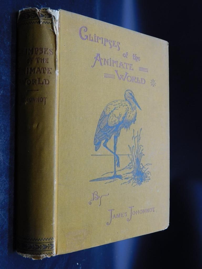 1885 GLIMPSES OF THE ANIMATE WORLD BOOK BY JAMES JOHONNOT 1242: 1885 GLIMPSES OF THE ANIMATE WORLD BOOK BY JAMES JOHONNOT 1242