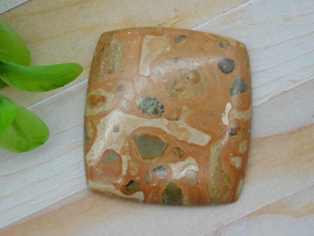 FOSSIL STONE CABOCHON ROCK STONE LAPIDARY SPECIMEN: FOSSIL STONE CABOCHON ROCK STONE LAPIDARY SPECIMEN