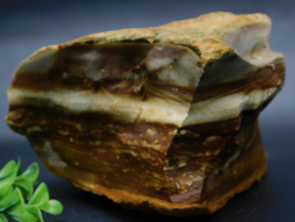 JASPER ROCK STONE LAPIDARY SPECIMEN: JASPER ROCK STONE LAPIDARY SPECIMEN