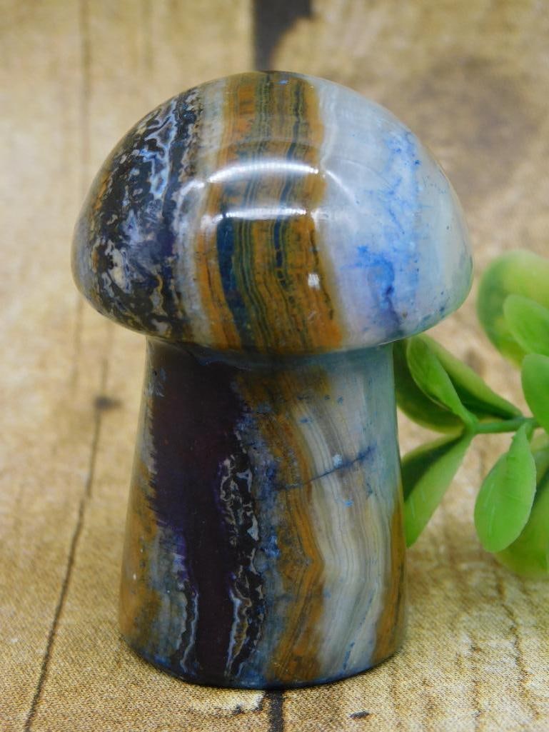 STONE MUSHROOM ROCK STONE LAPIDARY SPECIMEN (1 of 2)