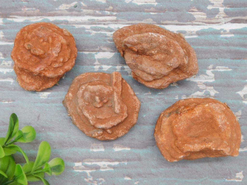 DESERT ROSE ROCK STONE LAPIDARY SPECIMEN (1 of 2)