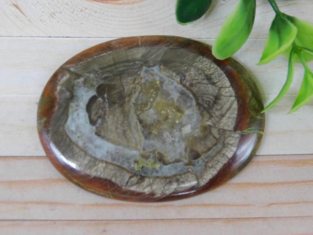 MUSHROOM RHYOLITE ROCK STONE LAPIDARY SPECIMEN (1 of 2)