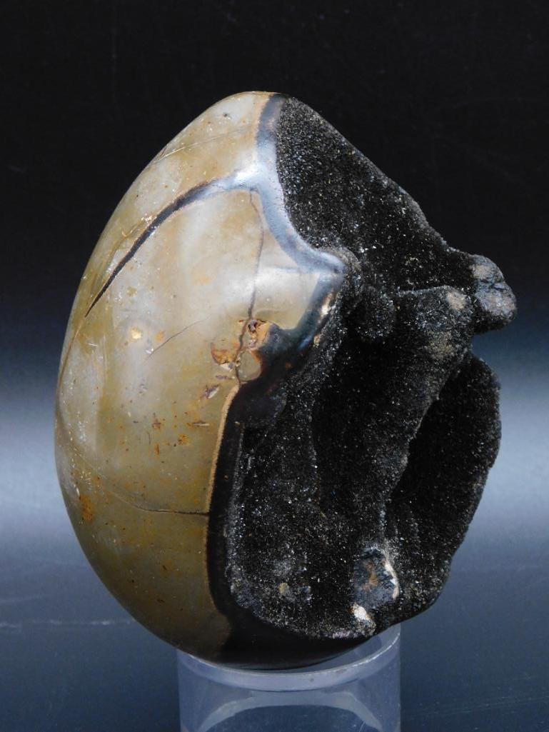 SEPTARIAN DRAGON EGG ROCK STONE LAPIDARY SPECIMEN (1 of 6)