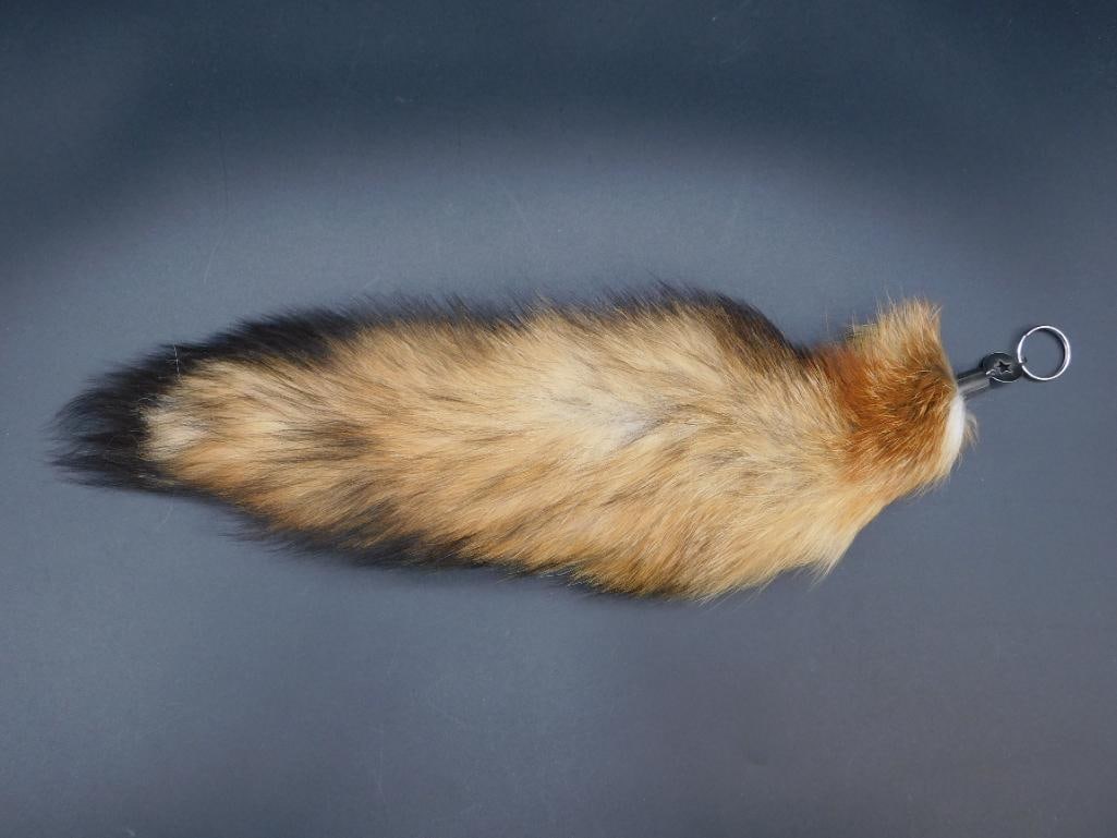 RED FOX TAIL TAXIDERMY (1 of 2)